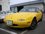 DSCN3789