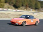 _MG_4438