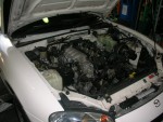 DSCN8126