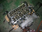 DSCN8365
